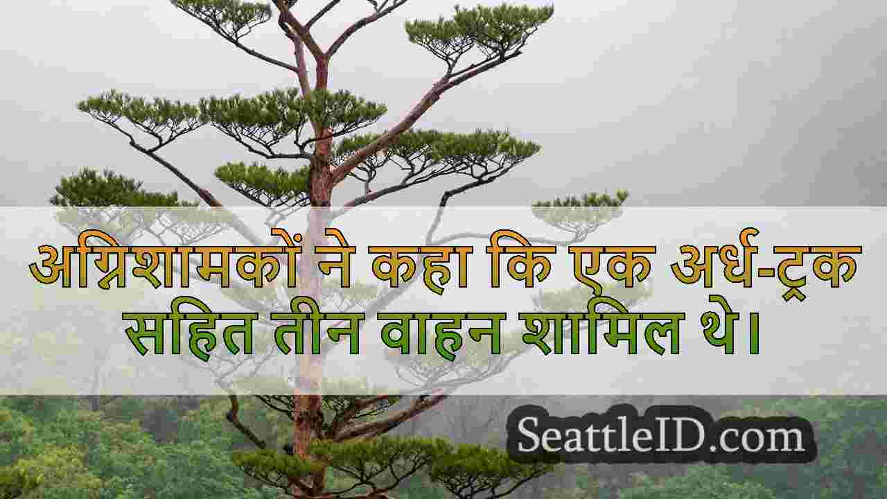 सिएटल समाचार SeattleID