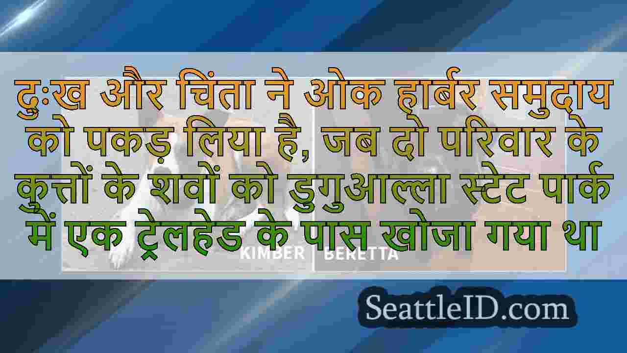 ओक हार्बर 2 परिवार के कुत्तों के रूप