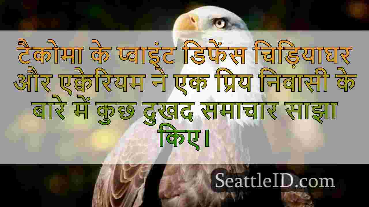 सिएटल समाचार SeattleID