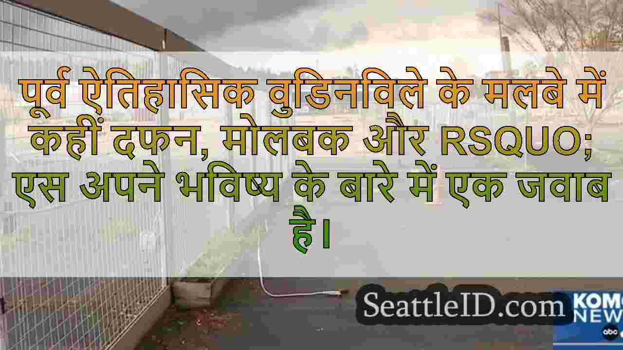 सिएटल समाचार SeattleID