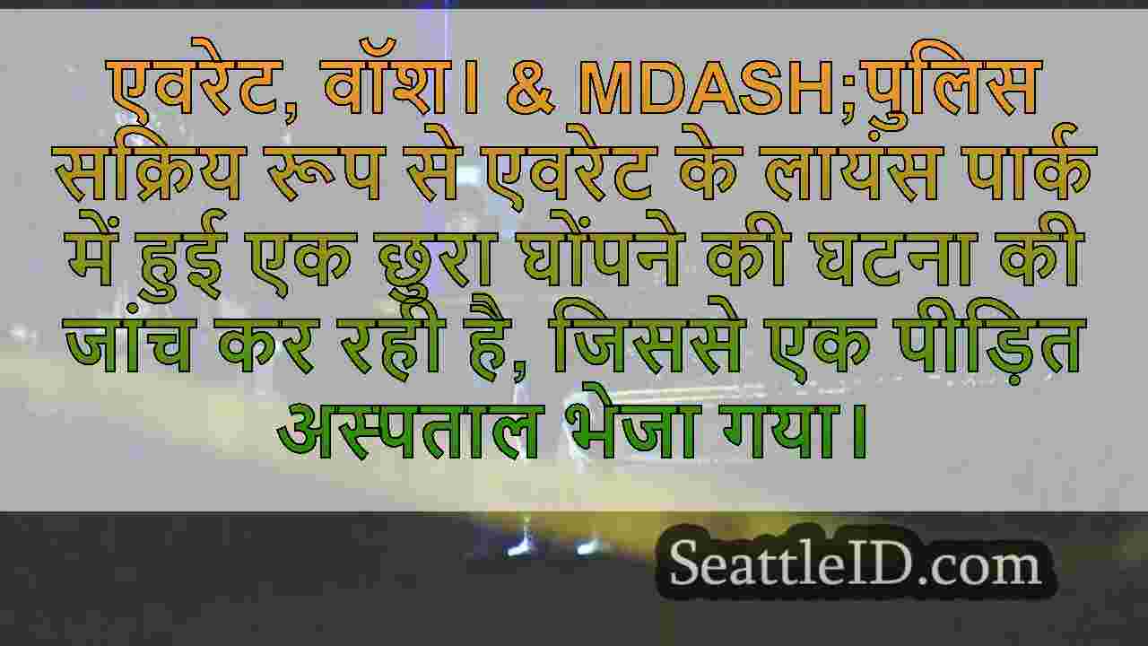 एवरेट पार्क में छुरा घोंपने के बाद