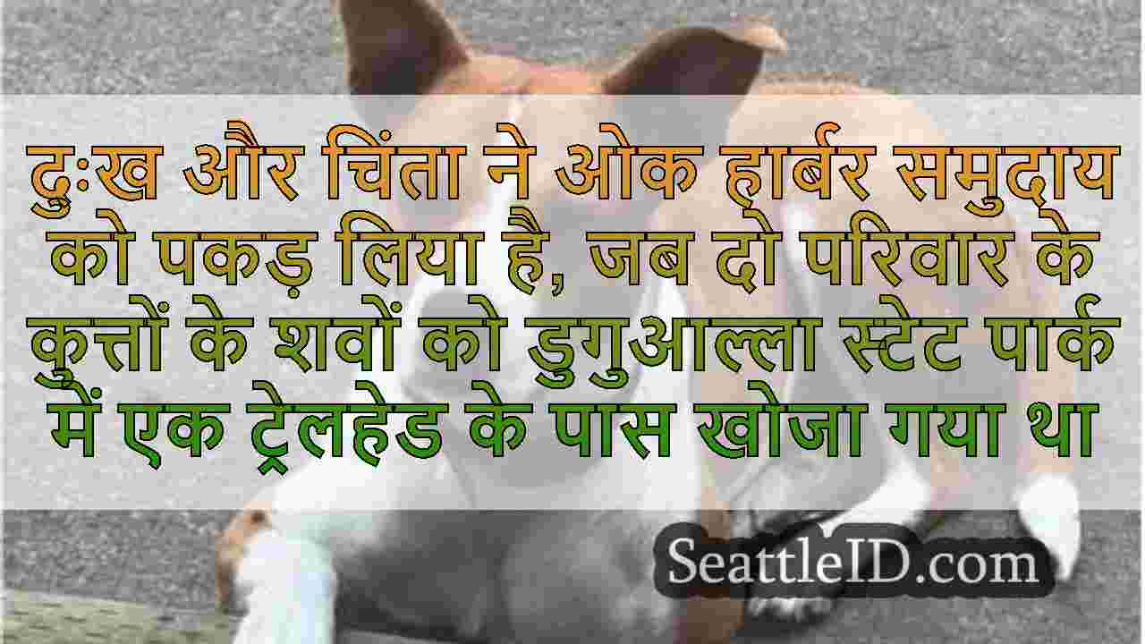 सिएटल समाचार SeattleID