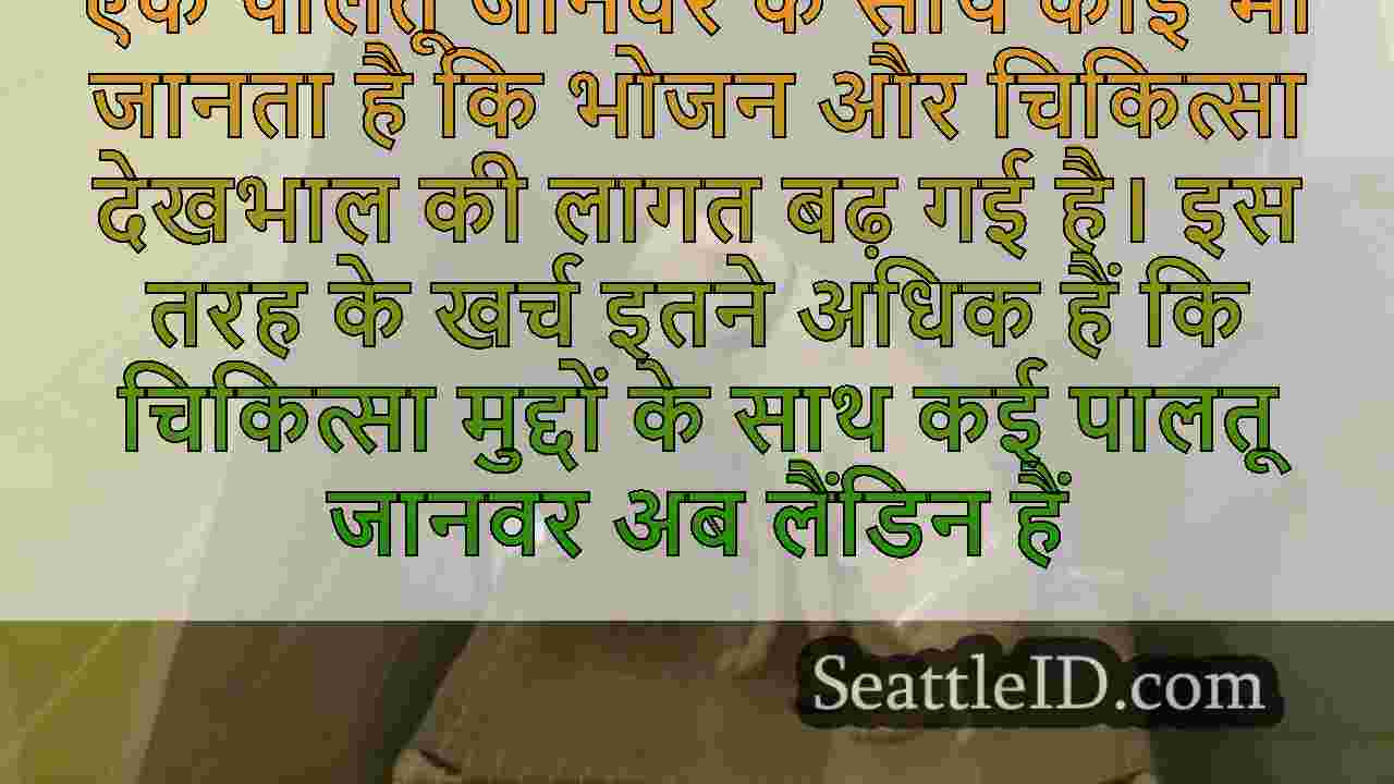 ब्यूरियन शेल्टर बढ़ती पालतू जानवरों की