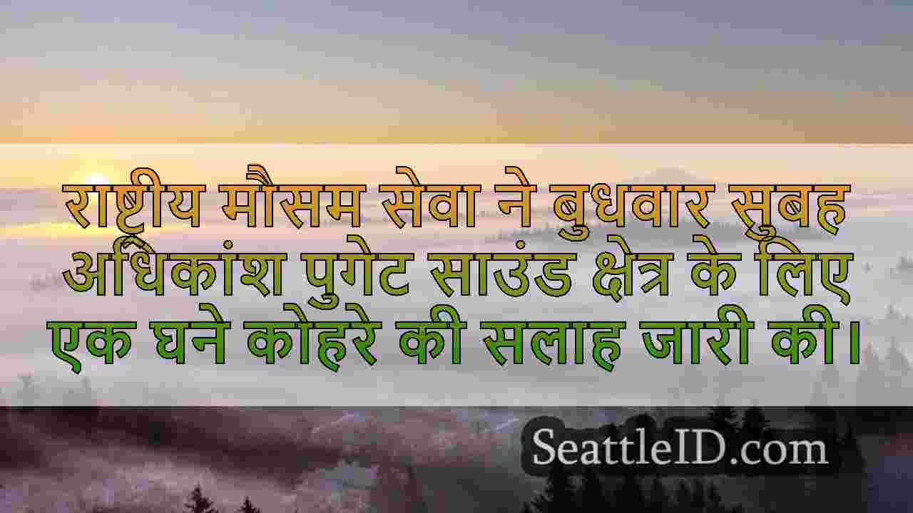 घने कोहरे में बुधवार को पश्चिमी