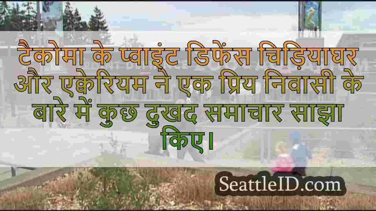 सिएटल समाचार SeattleID