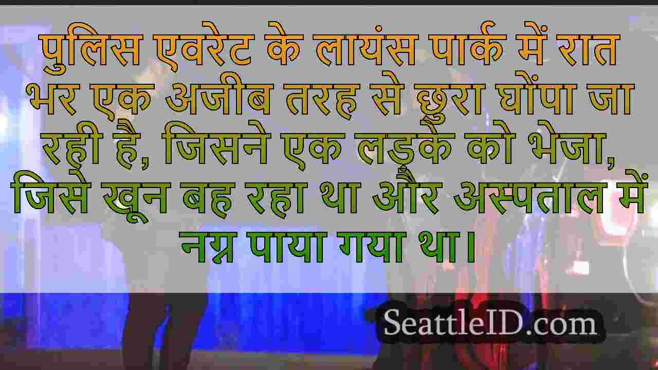 एवरेट पार्क में लड़के को चाकू मारने के