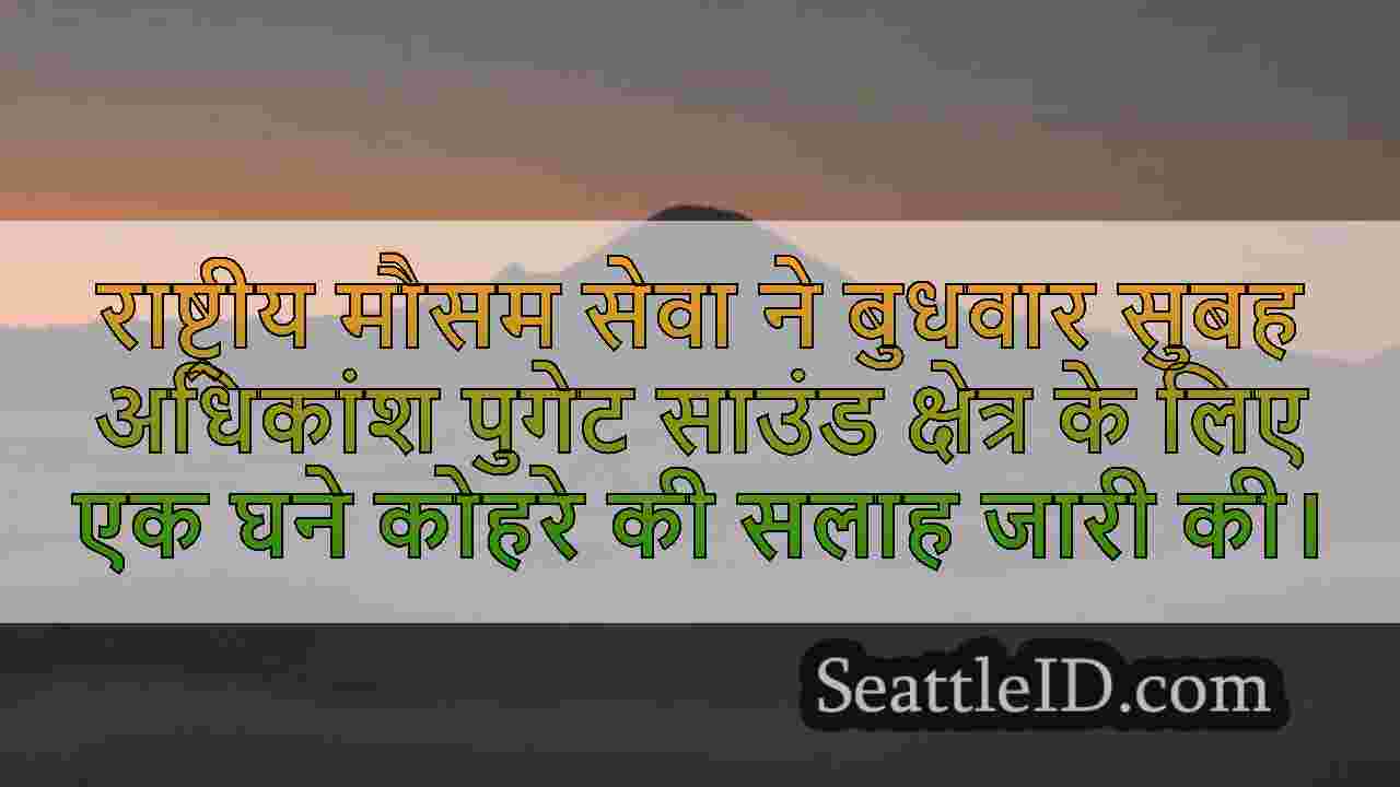 सिएटल समाचार SeattleID