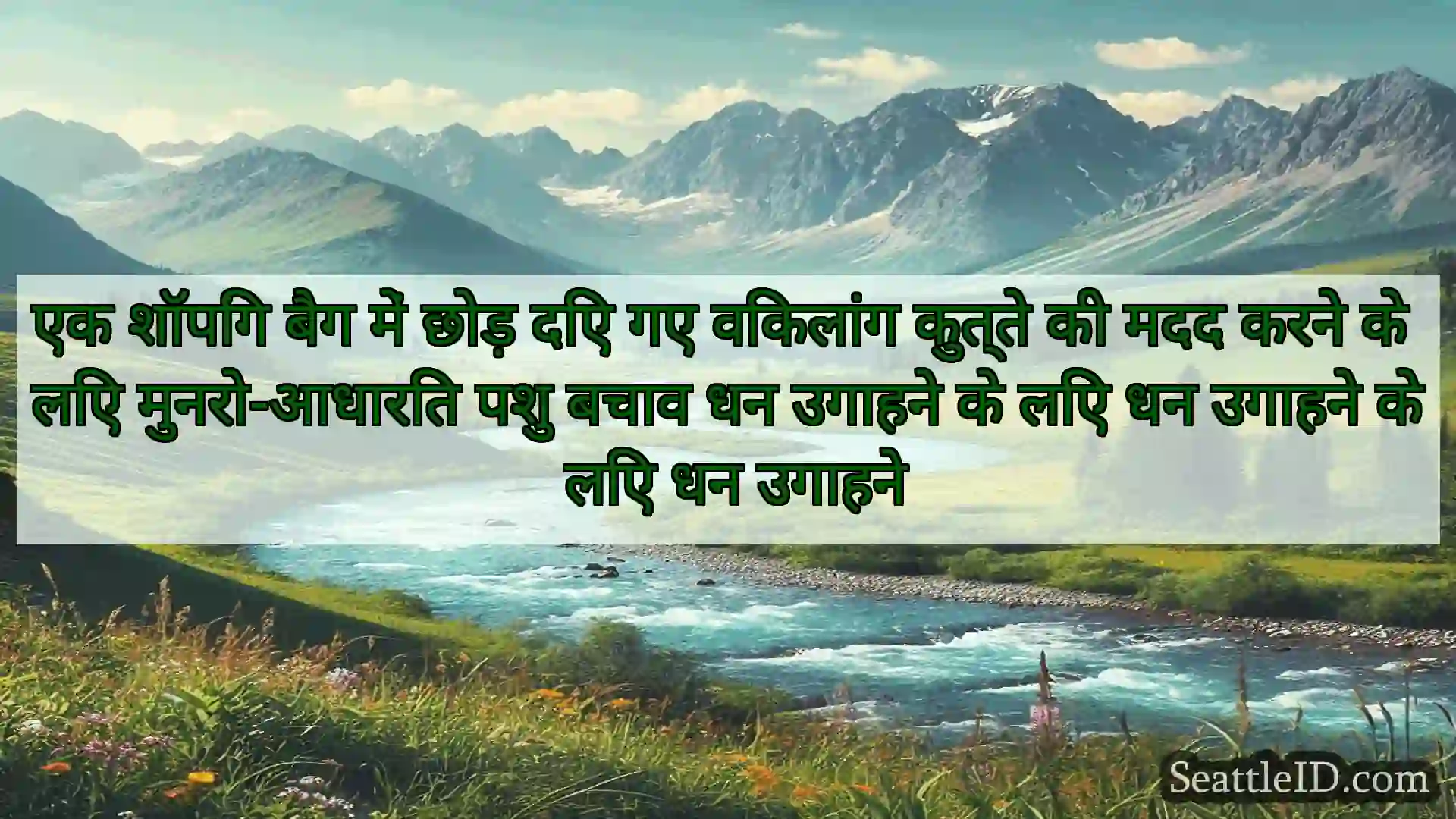 सिएटल समाचार एक शॉपिंग बैग में छोड़ दिए गए