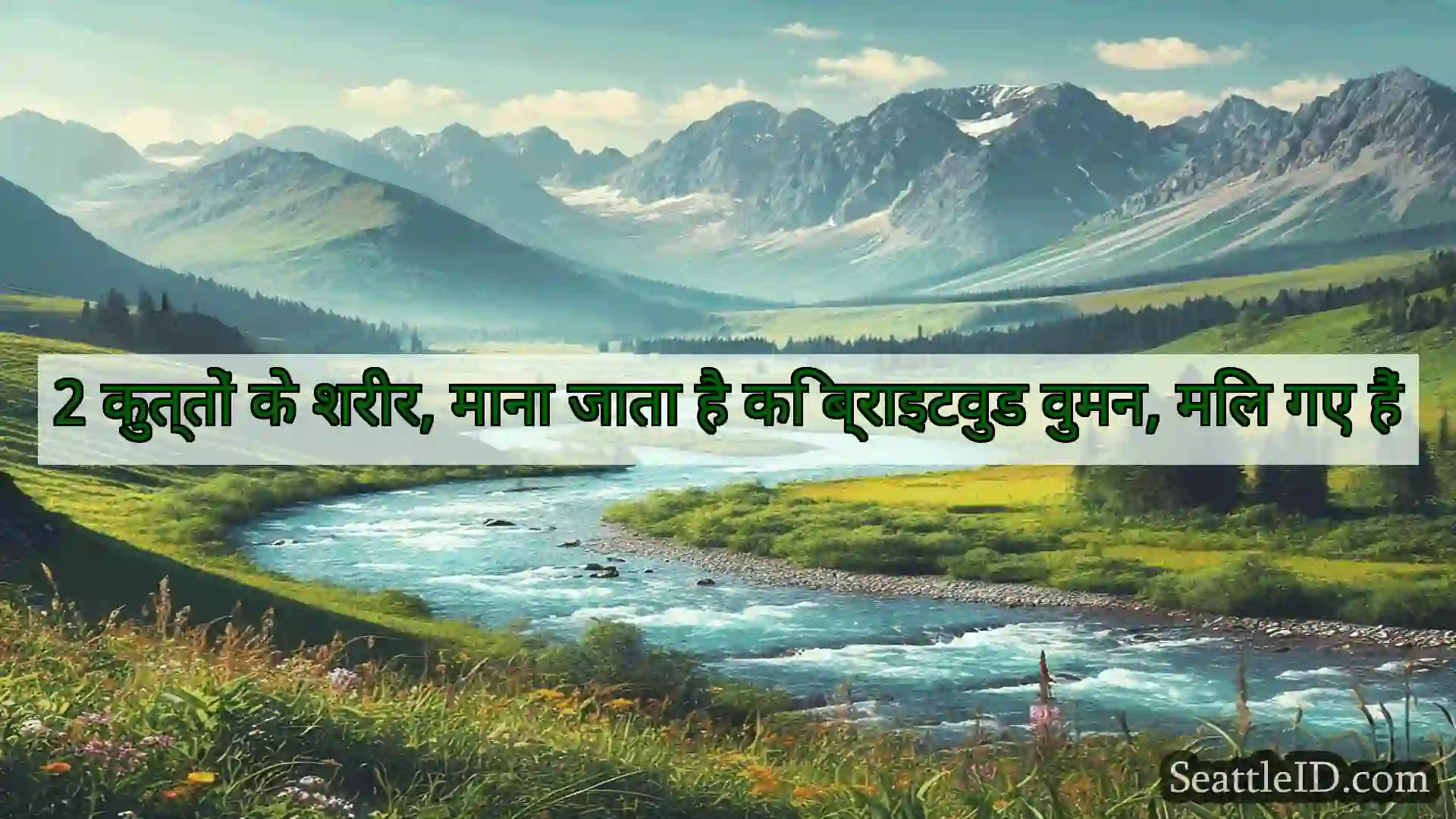 सिएटल समाचार 2 कुत्तों के शरीर, माना जाता है कि