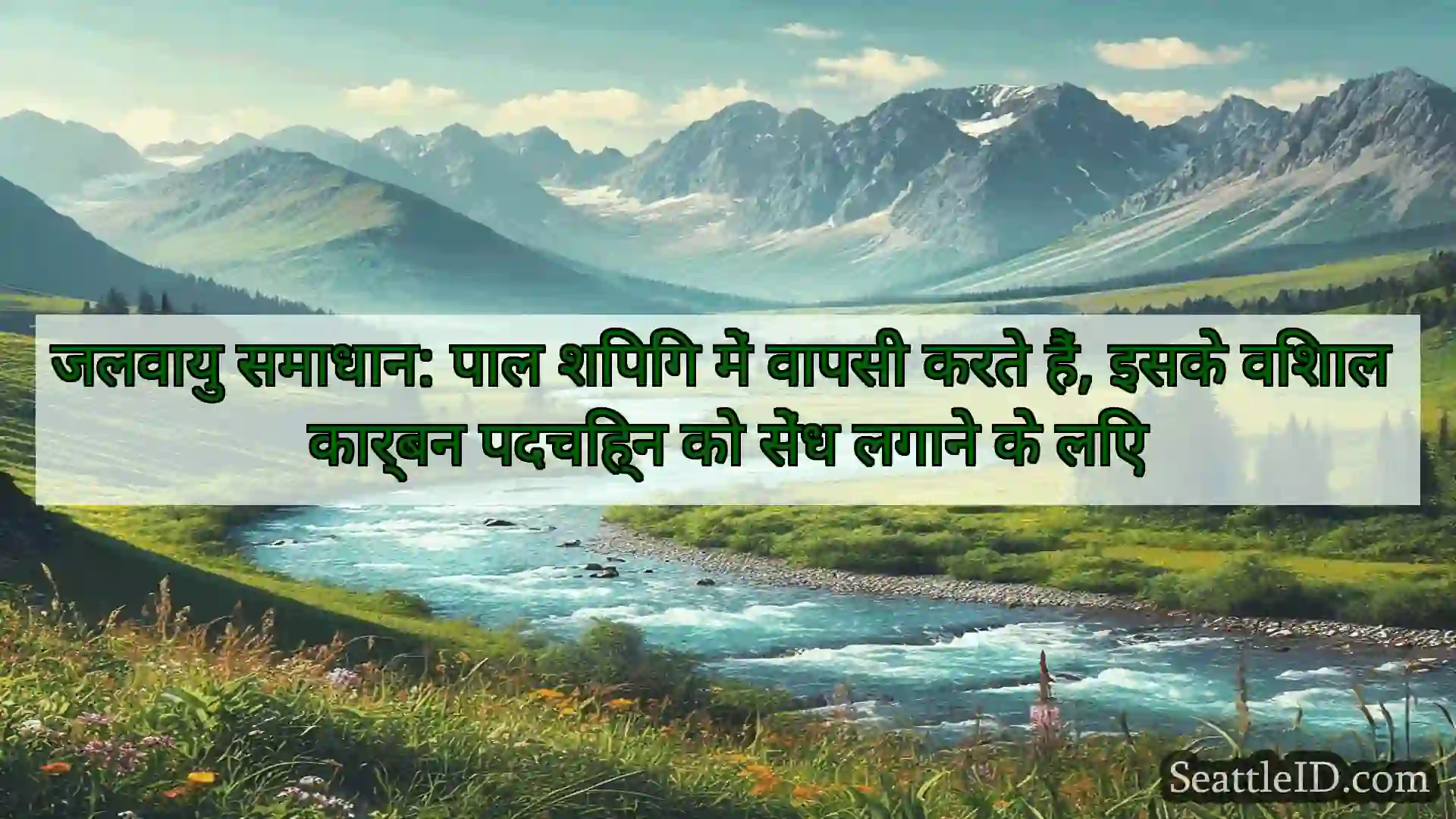 सिएटल समाचार जलवायु समाधान: पाल शिपिंग में
