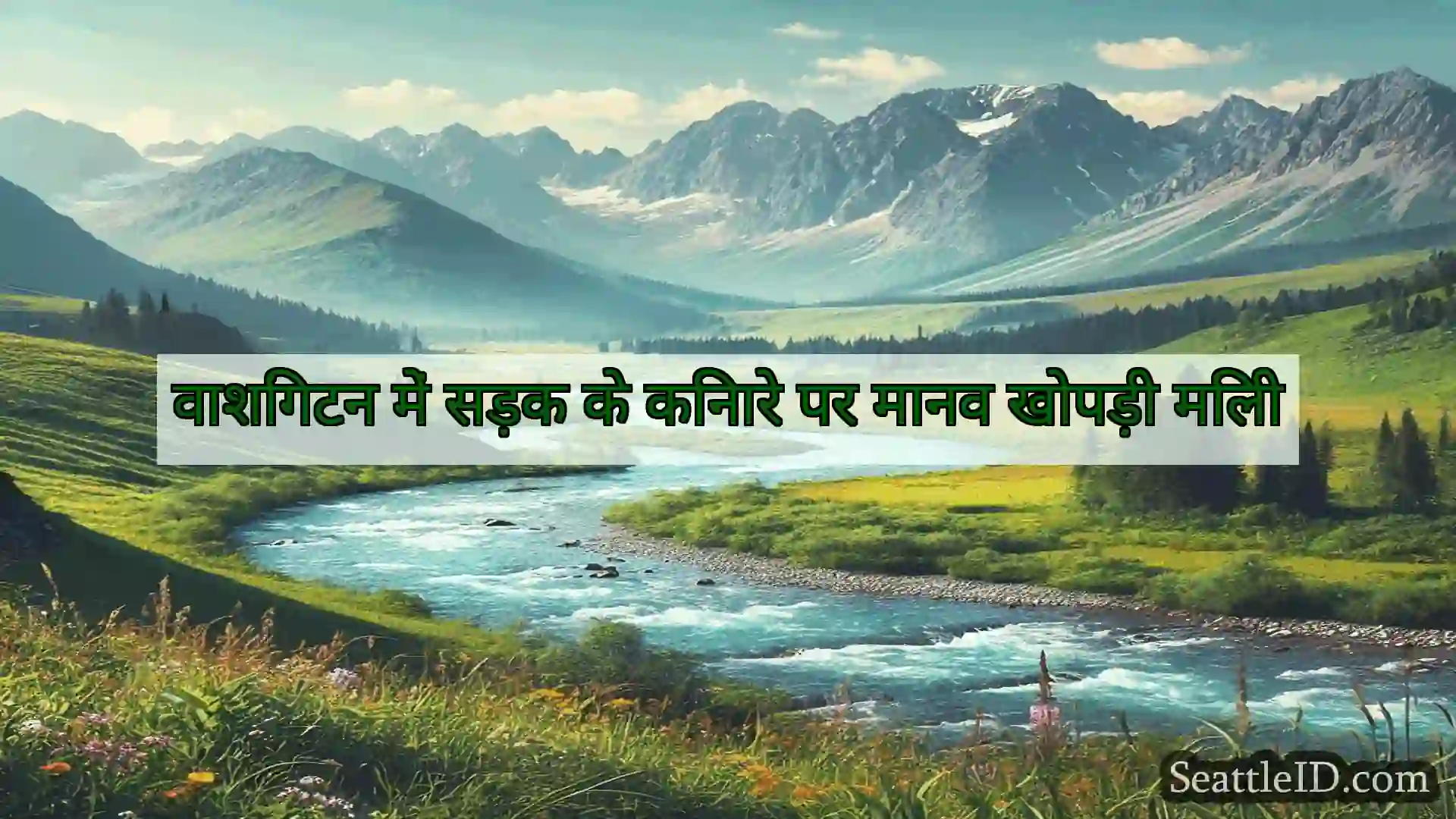 सिएटल समाचार वाशिंगटन में सड़क के किनारे पर