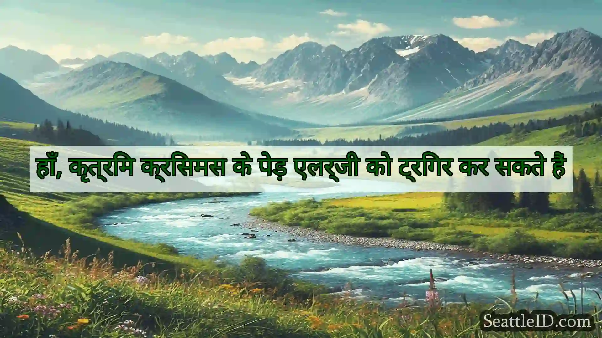 सिएटल समाचार हाँ, कृत्रिम क्रिसमस के पेड़