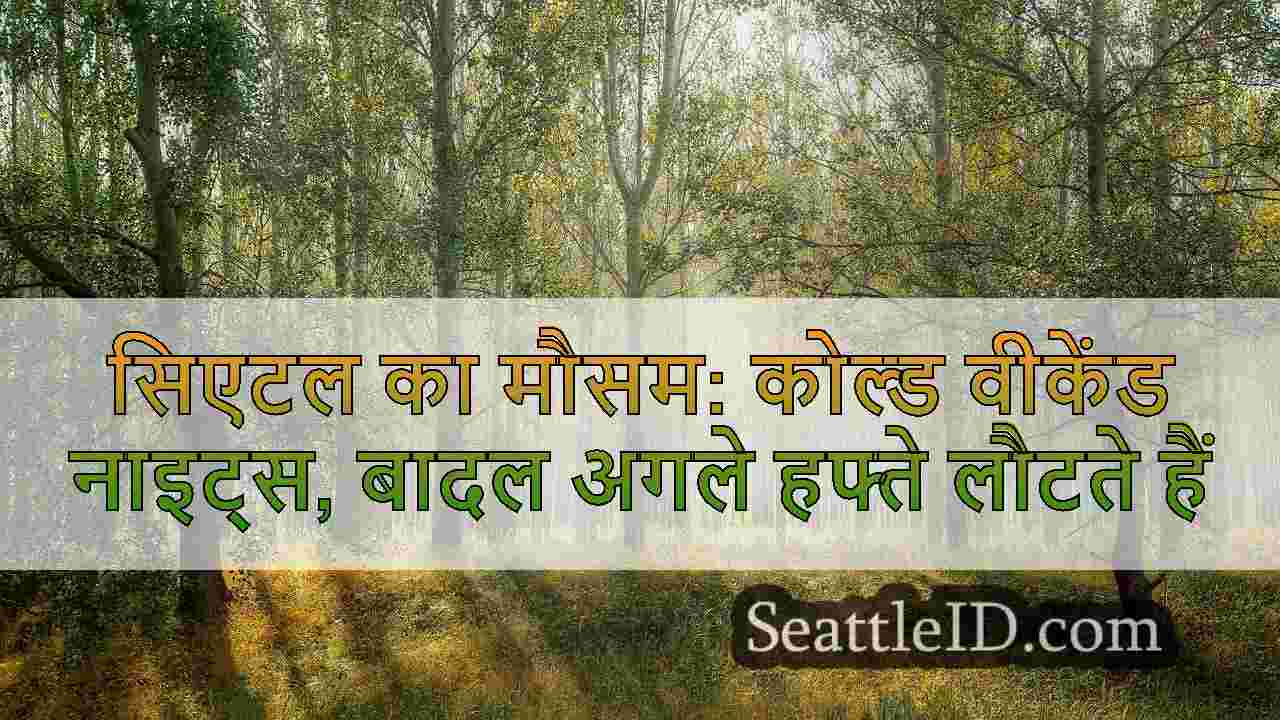 सिएटल समाचार SeattleID