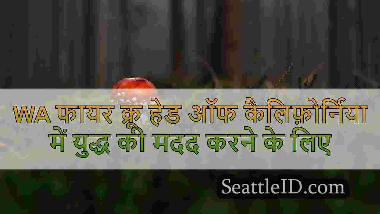 सिएटल समाचार SeattleID
