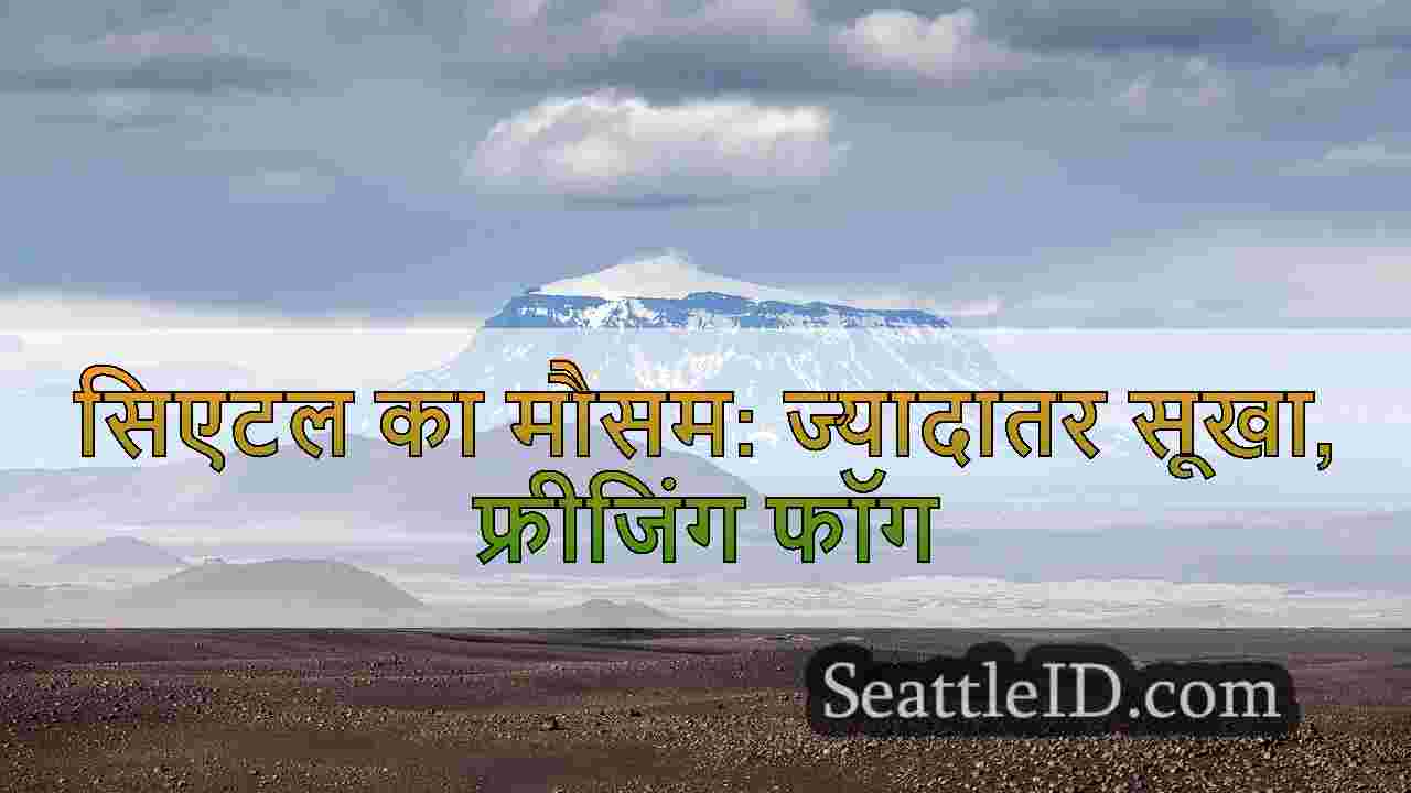 सिएटल समाचार SeattleID