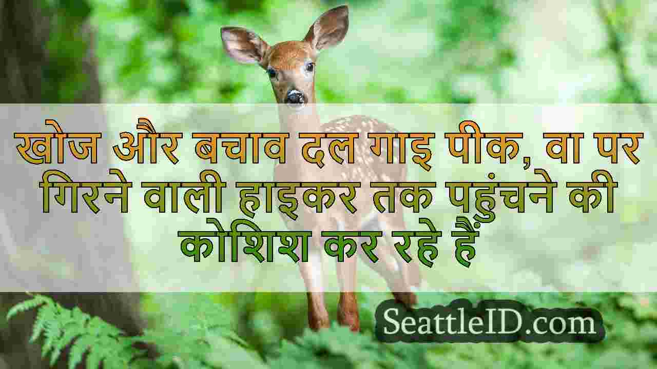 सिएटल समाचार SeattleID