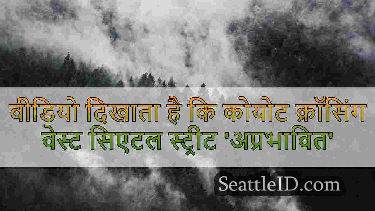 सिएटल समाचार SeattleID