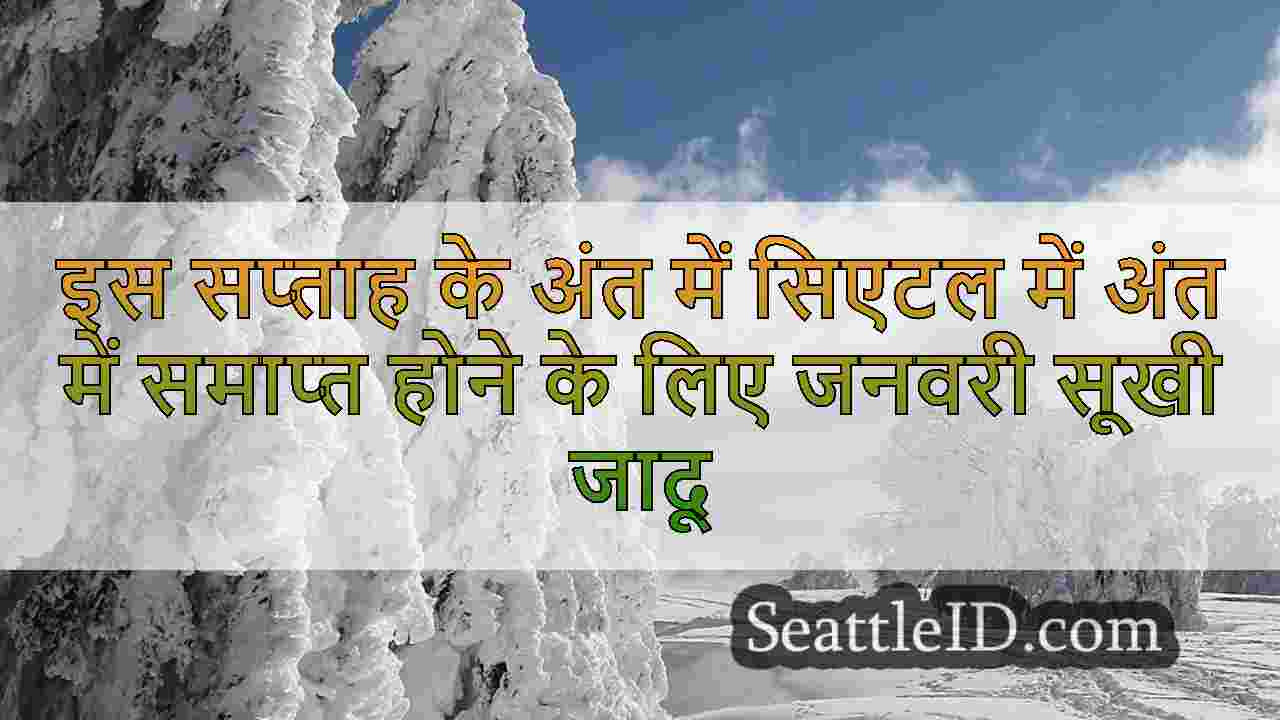 सिएटल समाचार SeattleID