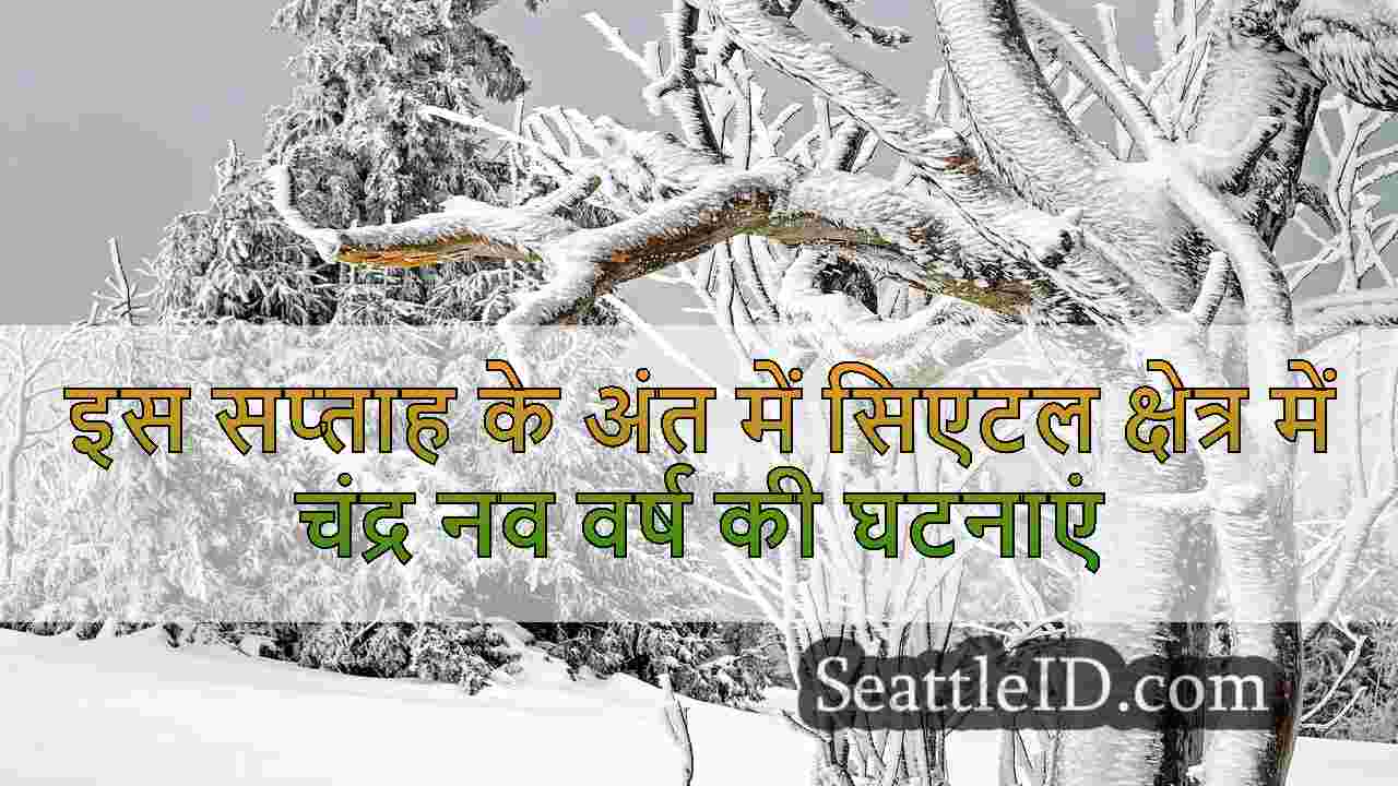 सिएटल समाचार SeattleID