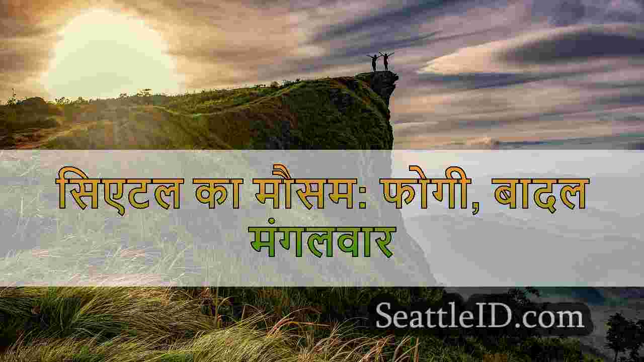 सिएटल समाचार SeattleID