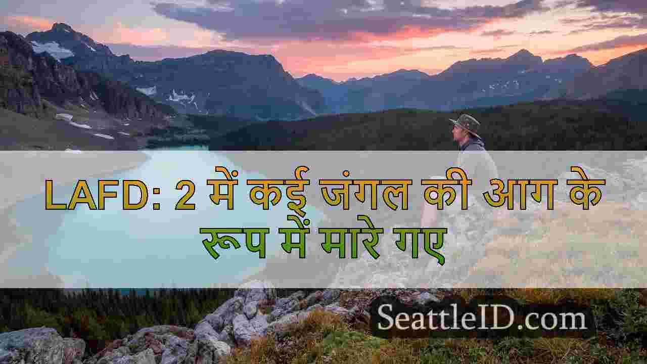 सिएटल समाचार SeattleID