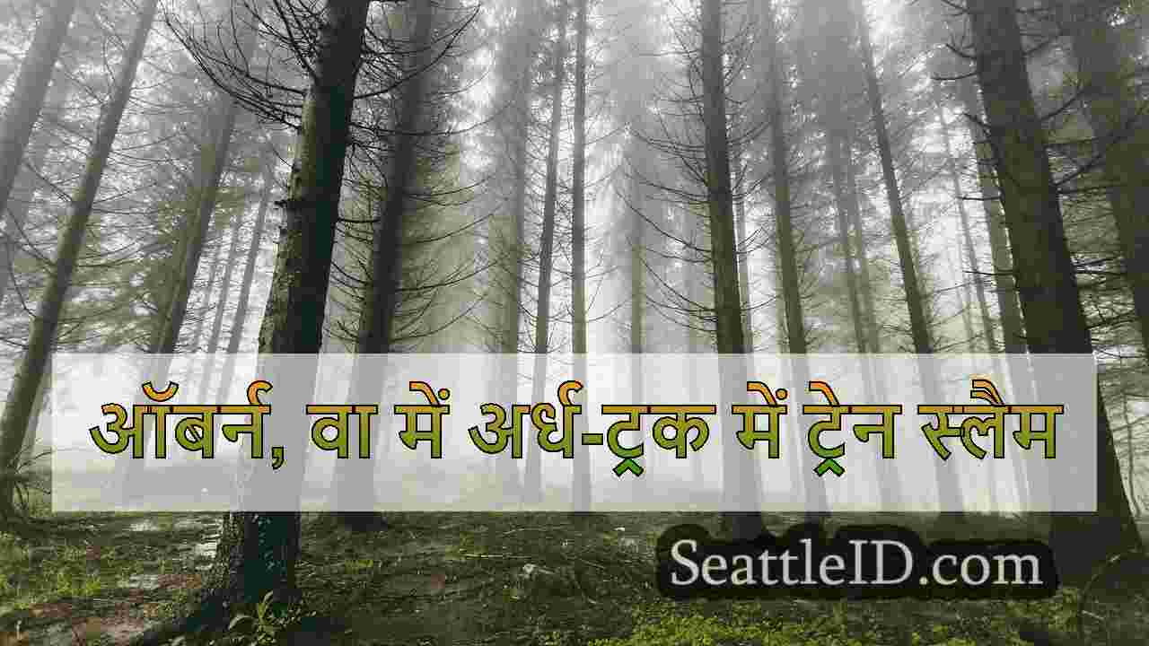 सिएटल समाचार SeattleID