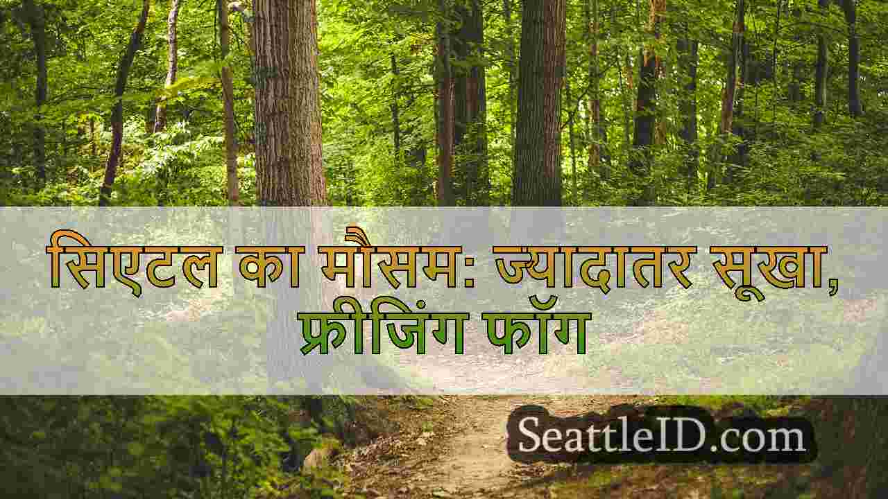 सिएटल समाचार SeattleID