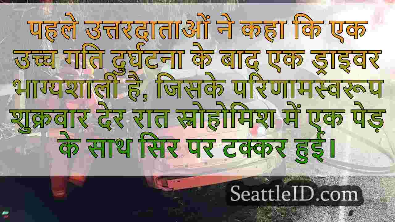 पेड़ में उच्च गति दुर्घटना के बाद कार