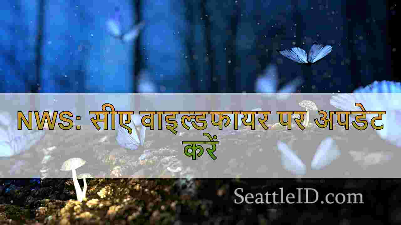 सिएटल समाचार SeattleID