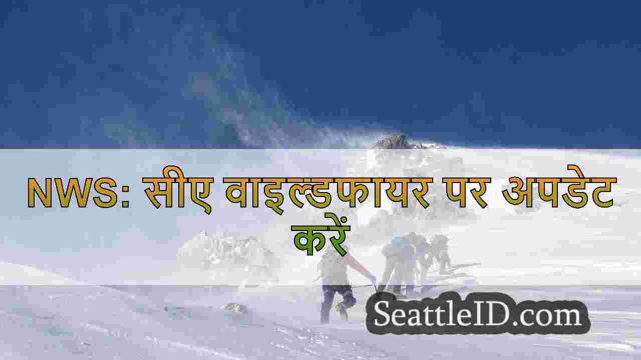 सिएटल समाचार SeattleID
