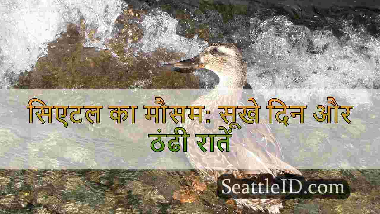 सिएटल का मौसम: सूखे दिन और ठंढी रातें