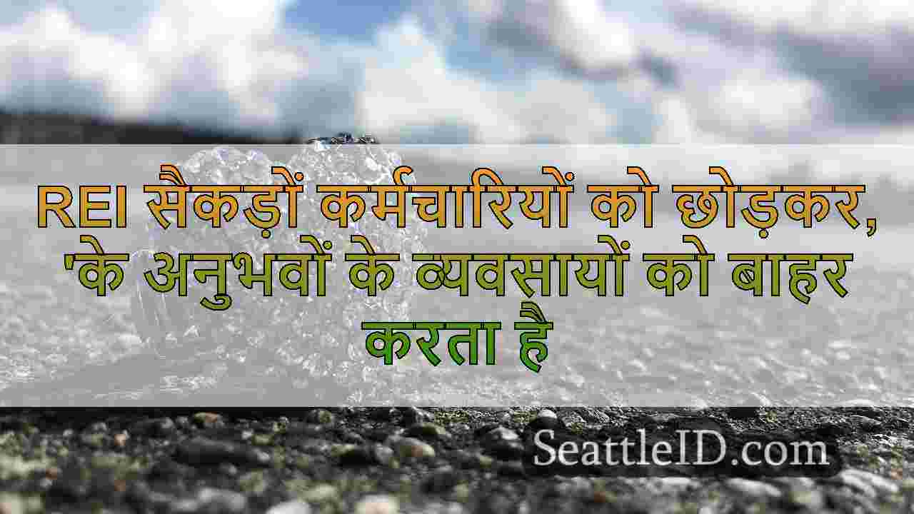सिएटल समाचार SeattleID
