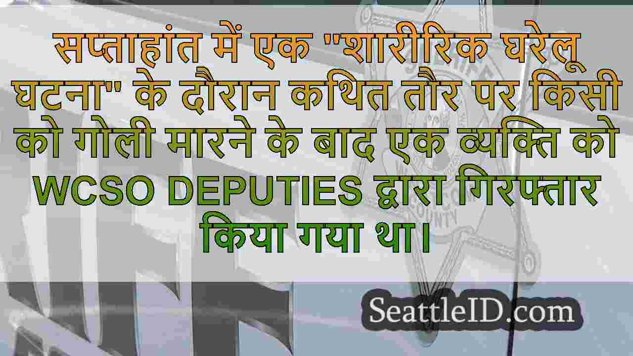 घरेलू विवाद के दौरान घातक शूटिंग के बाद