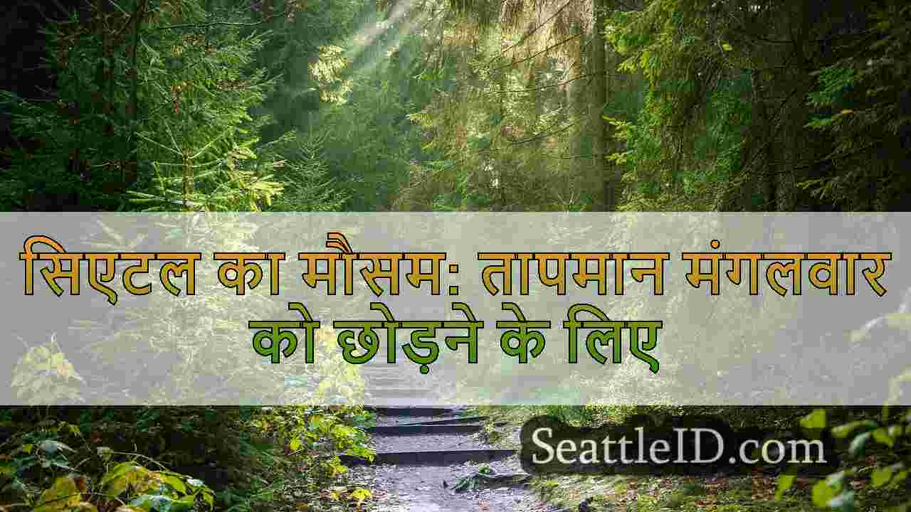 सिएटल समाचार SeattleID