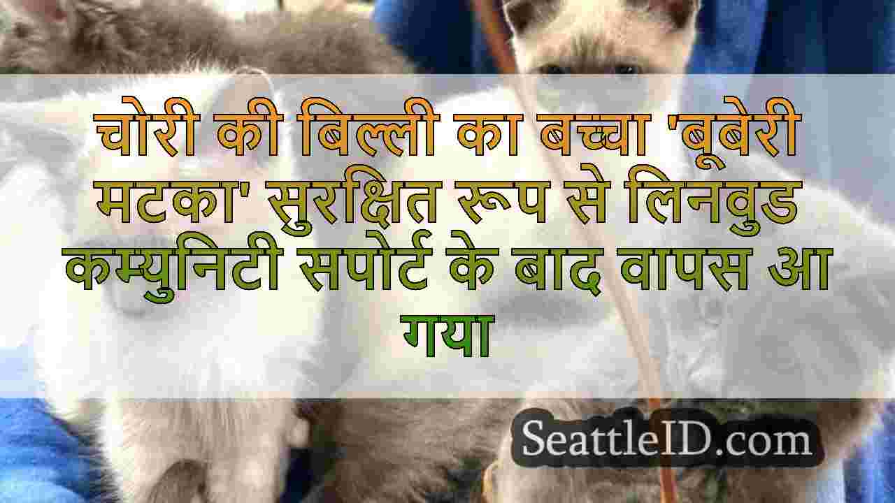 सिएटल समाचार SeattleID