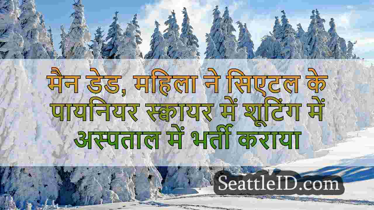 सिएटल समाचार SeattleID