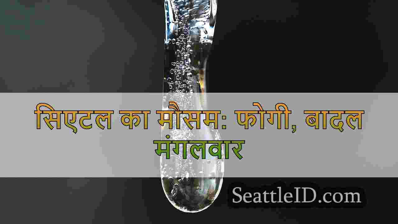 सिएटल समाचार SeattleID