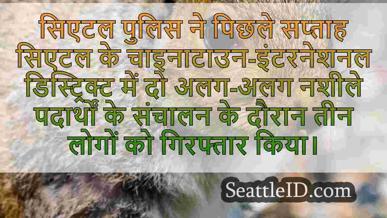 सिएटल समाचार SeattleID