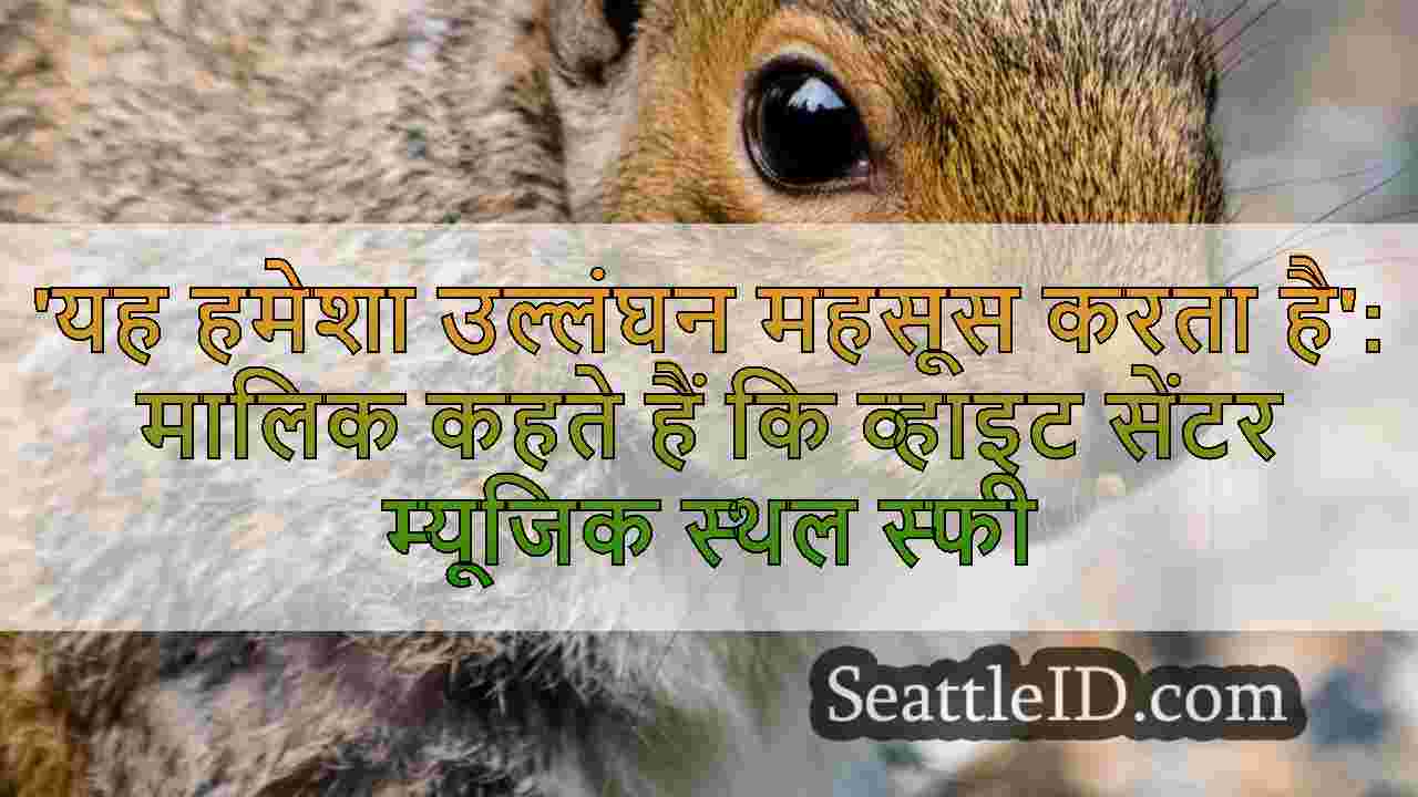 'यह हमेशा उल्लंघन महसूस करता है': मालिक