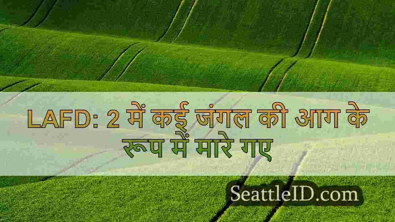 सिएटल समाचार SeattleID