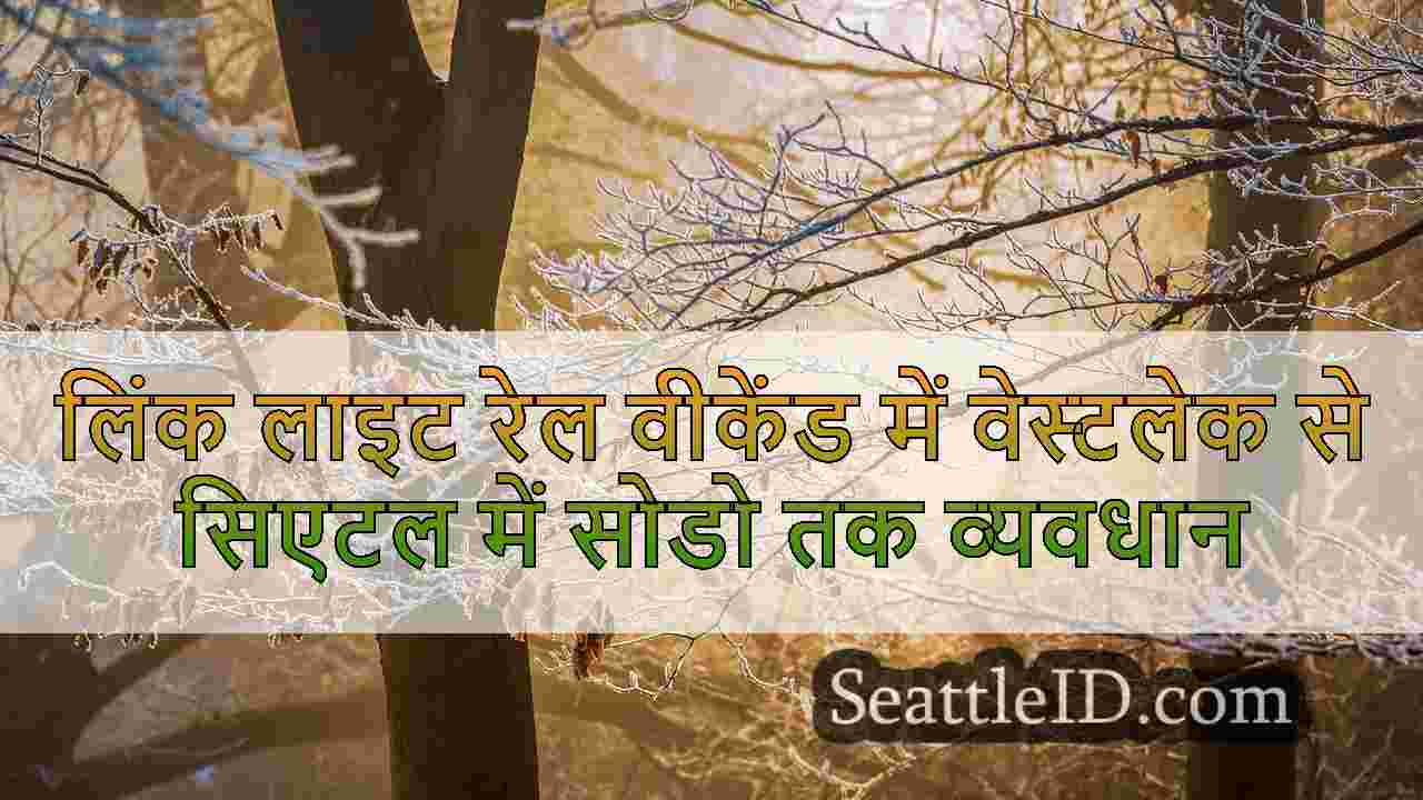 सिएटल समाचार SeattleID