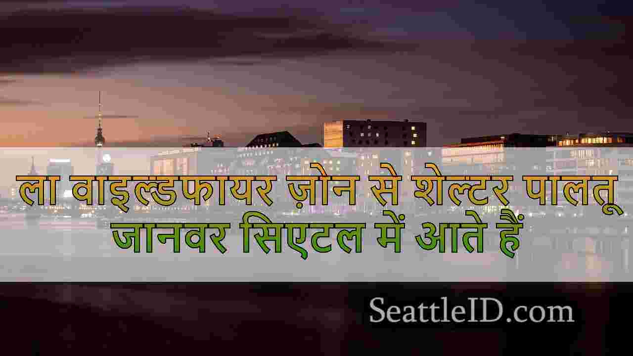 सिएटल समाचार SeattleID