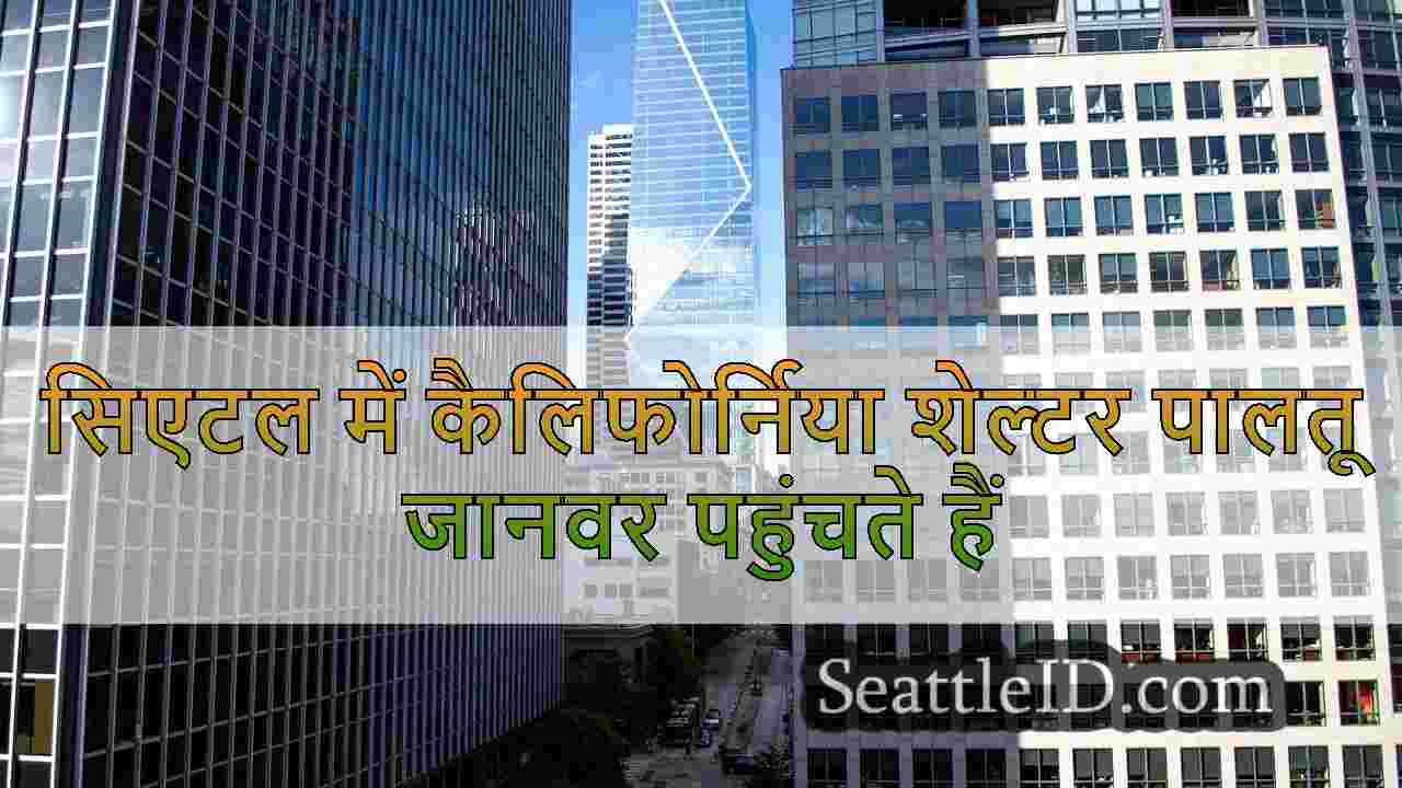 सीए वाइल्डफायर: सिएटल में लॉस एंजिल्स