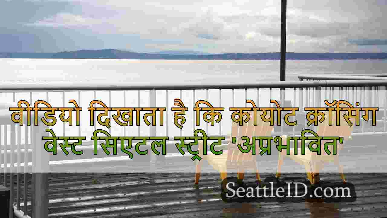 सिएटल समाचार SeattleID