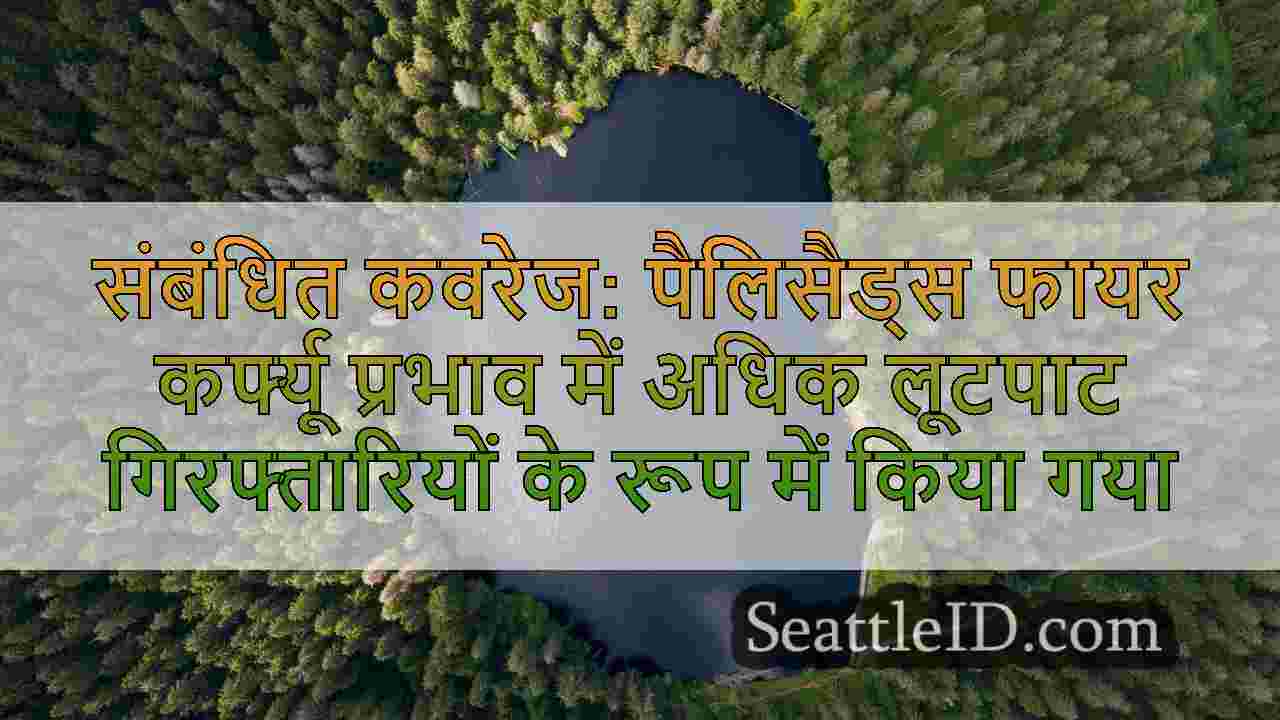 सिएटल समाचार SeattleID