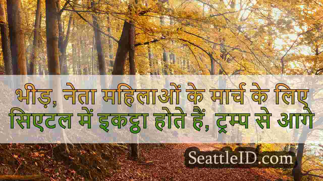 सिएटल समाचार SeattleID