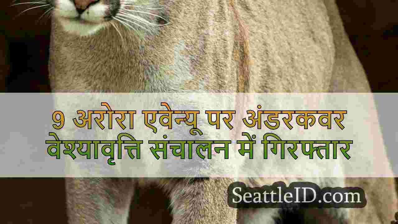 सिएटल समाचार SeattleID