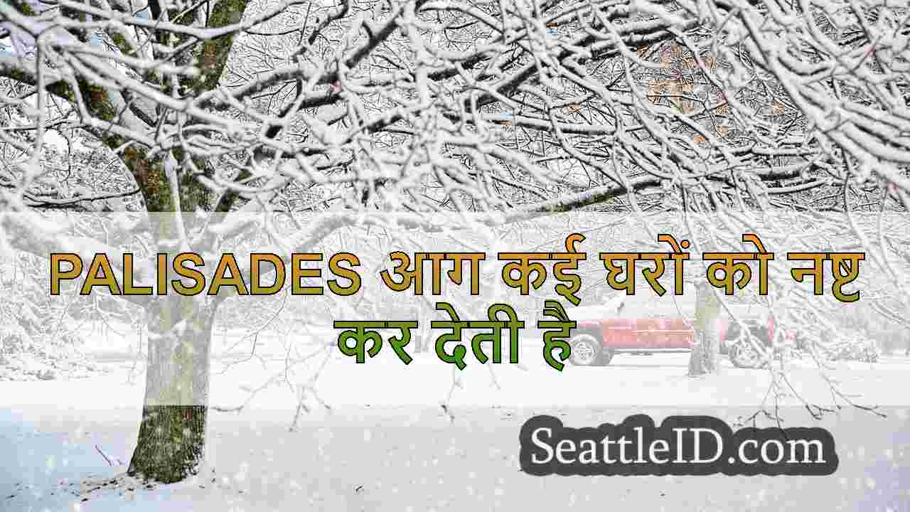 सिएटल समाचार SeattleID