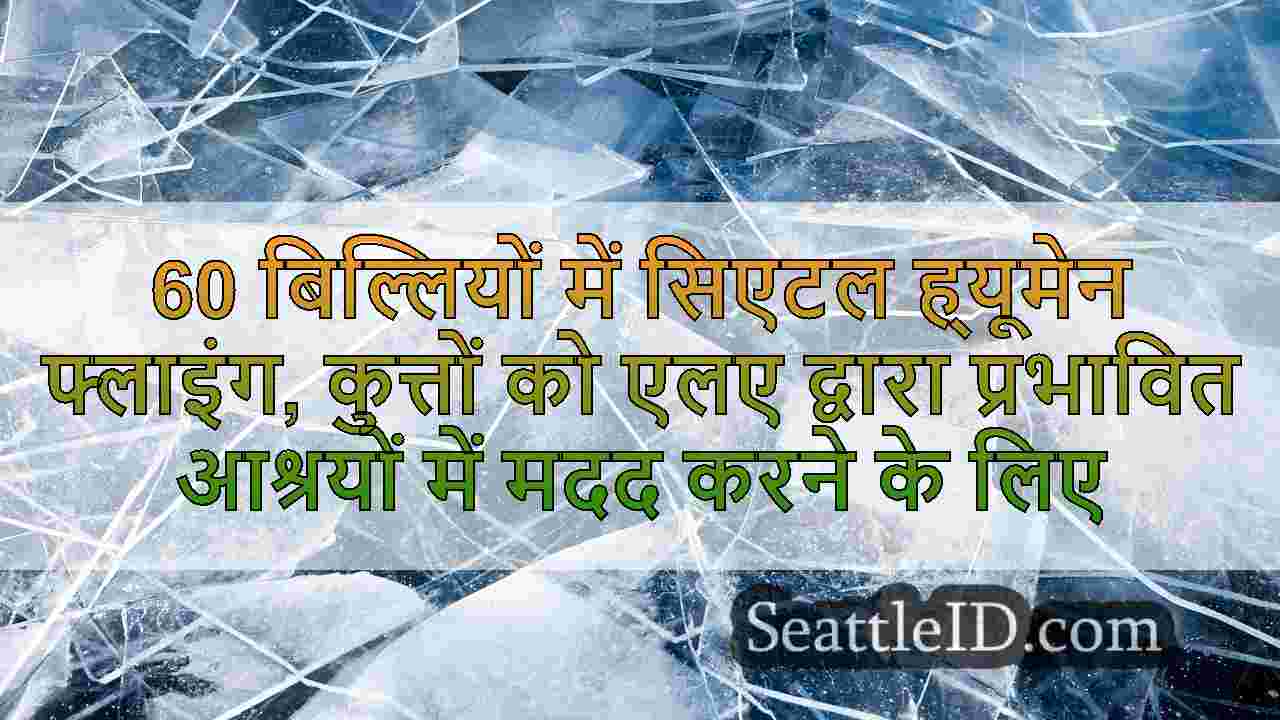 सिएटल समाचार SeattleID
