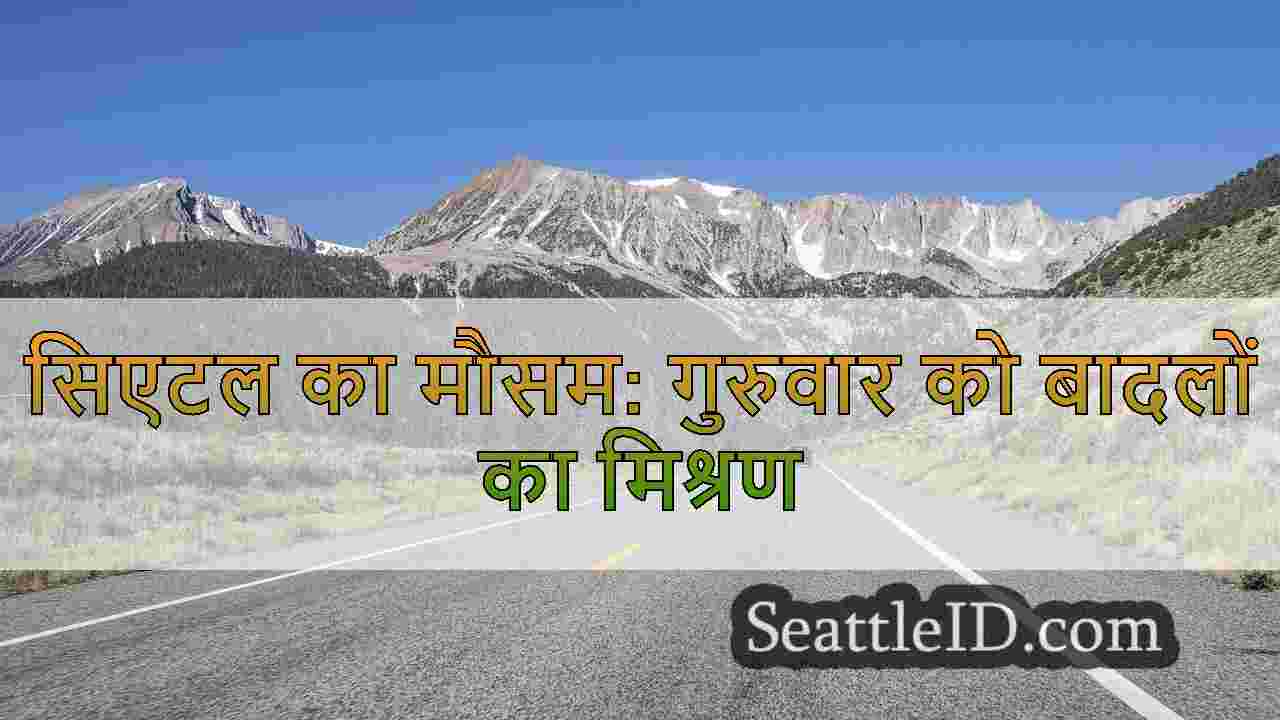 सिएटल समाचार SeattleID